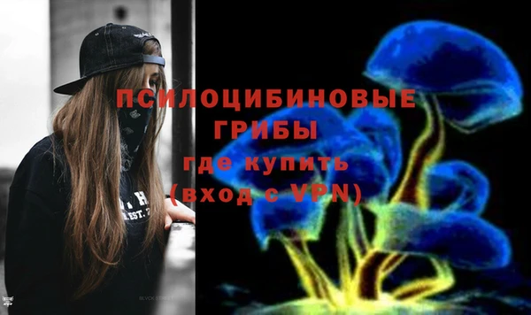 ГАЛЛЮЦИНОГЕННЫЕ ГРИБЫ Алексин