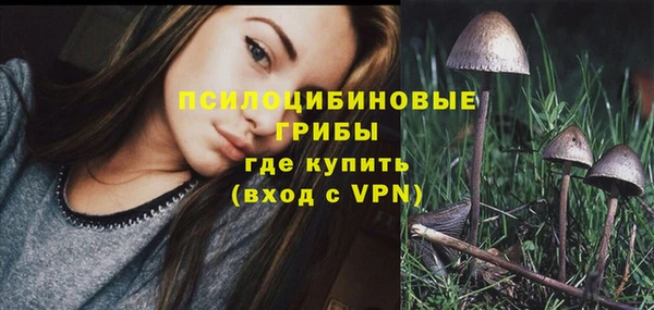 ГАЛЛЮЦИНОГЕННЫЕ ГРИБЫ Алексин